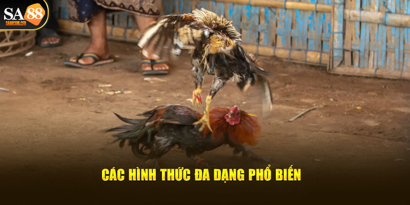 Các hình thức đa dạng phổ biến tại Sa88 casino