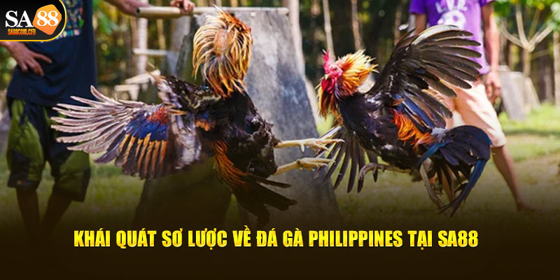 Khái quát sơ lược về Đá gà Philippines tại SA88.COM