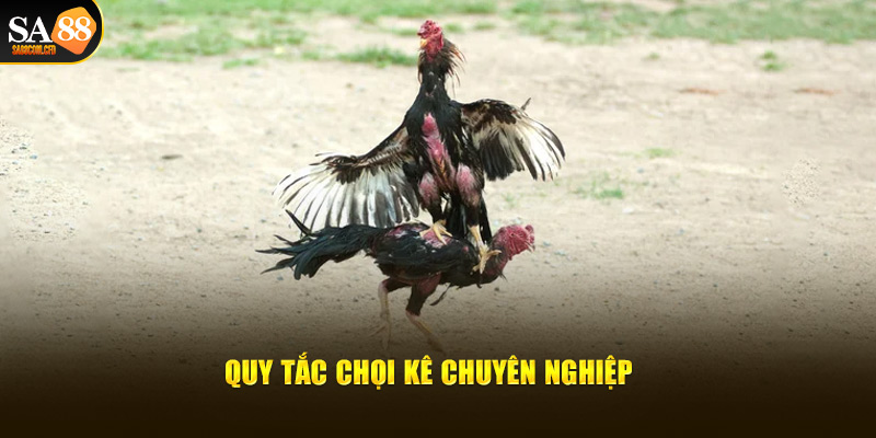 Quy tắc chọi kê chuyên nghiệp